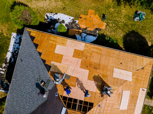 Roof Gutter Cleaning in Little Flock, AR