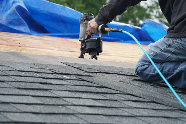 Best Roof Gutter Cleaning  in Little Flock, AR