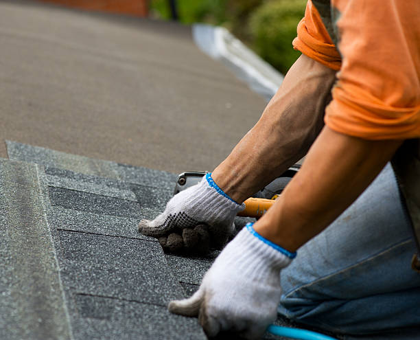 Best Gutter Installation and Roofing  in Little Flock, AR