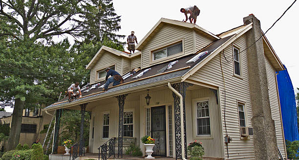 Best Flat Roof Repair Services  in Little Flock, AR