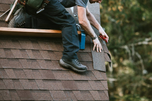 Best Storm Damage Roof Repair  in Little Flock, AR