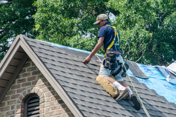 Best Emergency Roof Repair  in Little Flock, AR